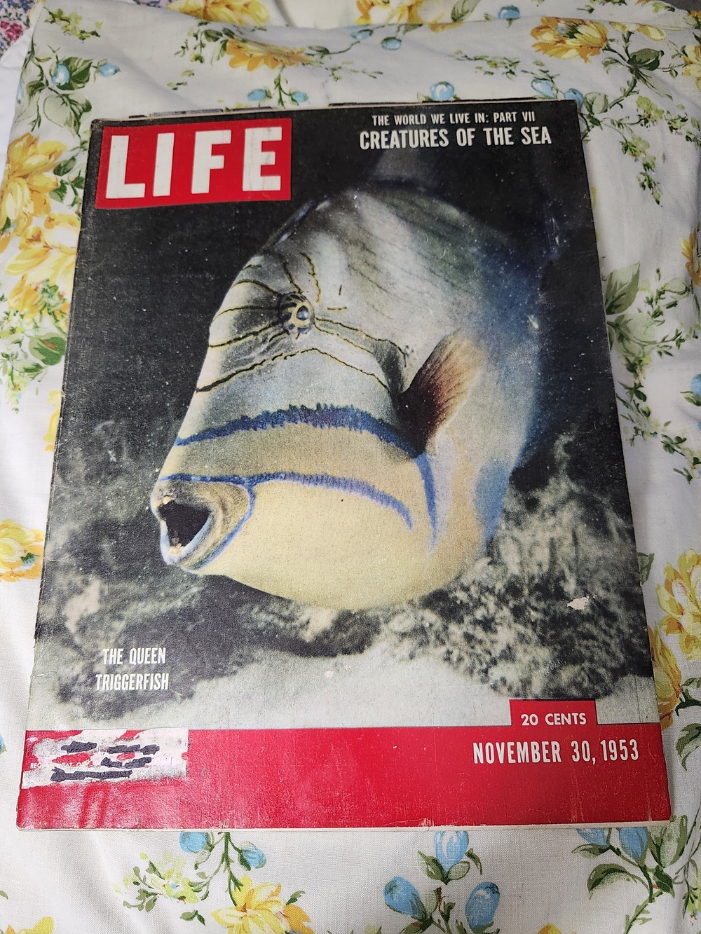 Vintage Life Magazine Nov. 30, 1953-"Part VII" of "The World We Live In" Series